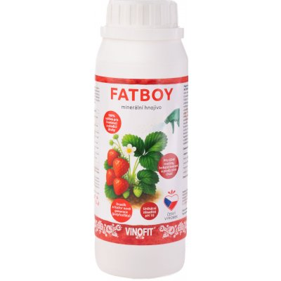 Vínofit FAT BOY 200 g – Hledejceny.cz