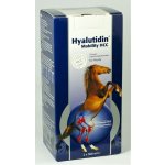 Hyalutidin Mobility HCC 2 x 500 ml – HobbyKompas.cz