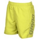 Arena Fundamentals Logo Boxer Short pánské šortky