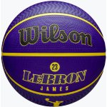 Wilson NBA Player Icon Outdoor Lebron – Zbozi.Blesk.cz