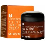 MIZON ALL IN ONE SNAIL REPAIR CREAM 75 ml – Hledejceny.cz
