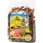 JR Farm Letní pole 100 g – Sleviste.cz