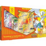 Pokémon TCG Premium Box - Reshiram & Charizard GX – Zbozi.Blesk.cz