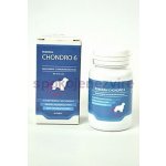 Univit Roboran Chondro 6 60 tbl – Hledejceny.cz