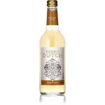 Double Dutch Ginger Beer 0,5 l – Sleviste.cz