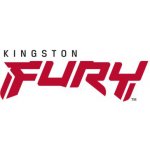Kingston Fury Beast DDR5 16GB CL40 (2x8GB) KF552C40BBK2-16 – Zboží Živě