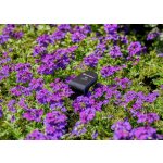 Gardena Smart senzor 19040-20 – Hledejceny.cz