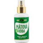 Purity Vision Bio Mátová voda 100 ml – Hledejceny.cz