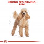 Royal Canin Poodle Adult 0,5 kg – Hledejceny.cz