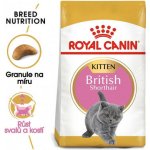 ROYAL CANIN Kitten british shorthair 4 x 2 kg – Hledejceny.cz