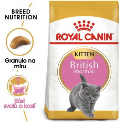ROYAL CANIN Kitten british shorthair 4 x 2 kg – Hledejceny.cz