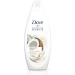 Dove Nourishing Secrets Restoring Ritual sprchový gel 250 ml – Zbozi.Blesk.cz