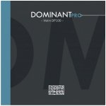 THOMASTIK DOMINANT PRO set DP100 – Zboží Dáma