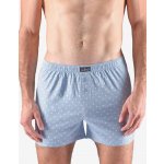 Gina pánské trenky volné šité s potiskem 75184P pomnenková bílá – Zbozi.Blesk.cz