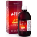 Canamipharm Canami A-flex+bromelain 500 ml – Hledejceny.cz