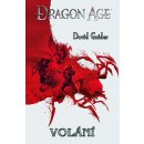 Dragon Age: Volání - David Gaider
