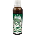 Byliny Naděje bylinná tinktura z pupenů Borůvka černá 50 ml – Hledejceny.cz