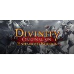 Divinity: Original Sin (Enhanced Edition) – Zboží Mobilmania