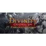 Divinity: Original Sin (Enhanced Edition) – Hledejceny.cz