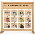 Lesní svět Hlasy ptáků na krmítku Stolní – Hledejceny.cz