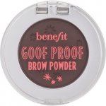 Diego dalla Palma Design Eyebrow Powder Long Lasting barevný pudr na obočí Ash Brown 0,7 g – Zbozi.Blesk.cz