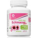 Galmed Echinacea forte 600 mg+vit.C+zinek 100 tablet – Hledejceny.cz