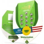 Royal Queen seeds Watermelon Automatic semena neobsahují THC 5 ks – Zboží Mobilmania