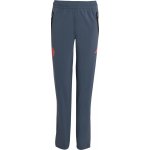 adidas FC Bayern Tiro25 Competition Vis Tech Travel Pant Kids jv5346 – Sleviste.cz