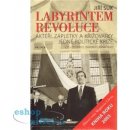 Labyrintem revoluce -- Aktéři, zápletky a křižovatky jedné politické krize od listopadu 1989 do června 1990 - Suk Jiří