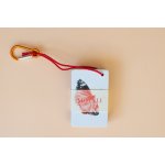 Motýli - kapesní atlas | Kateřina Kozlíková – Sleviste.cz