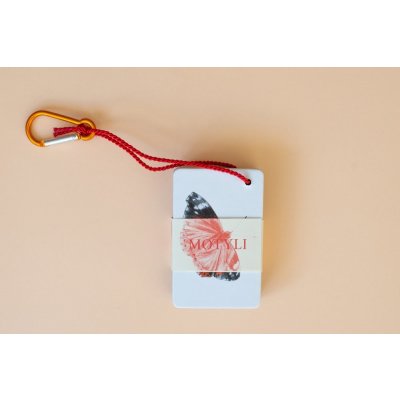 Motýli - kapesní atlas | Kateřina Kozlíková – Sleviste.cz