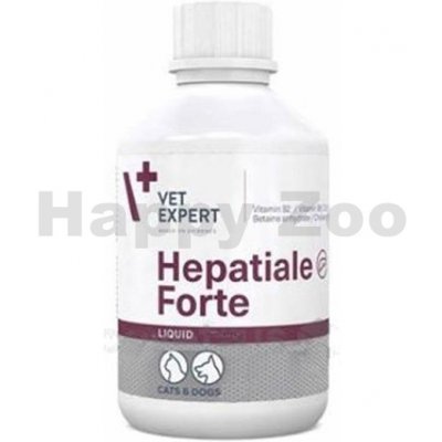 Hepatiale Forte Liquid 250 ml – Zbozi.Blesk.cz