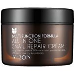 MIZON ALL IN ONE SNAIL REPAIR CREAM 75 ml – Hledejceny.cz