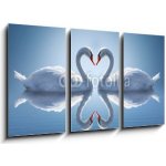 Obraz 3D třídílný - 90 x 50 cm - Romantic two swans, symbol of love. Romantické dvě labutě, symbol lásky. – Hledejceny.cz