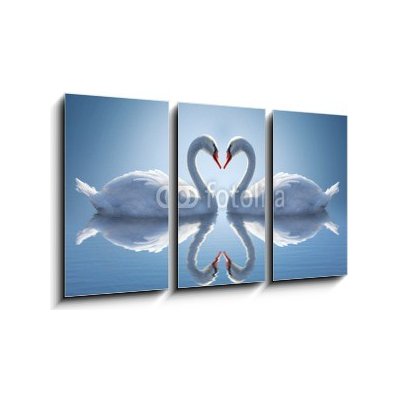 Obraz 3D třídílný - 90 x 50 cm - Romantic two swans, symbol of love. Romantické dvě labutě, symbol lásky. – Hledejceny.cz