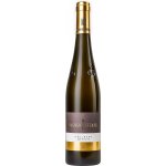 Wagner-Stempel Riesling Höllberg GG Rheinhessen bílé víno 2024 12,5 % 0,75 l (holá láhev) – Hledejceny.cz