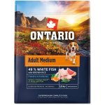 Ontario Adult Medium Fish & Brown Rice 12 kg – Zboží Dáma