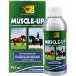 TRM Muscle Up 0,96 l – Hledejceny.cz