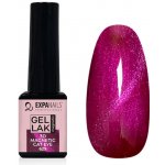 Expa nails gel lak 3d magnetic cat eye 629 5 ml – Zboží Dáma