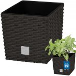 Prosperplast Rato low květináč 17 cm čokoláda – Hledejceny.cz