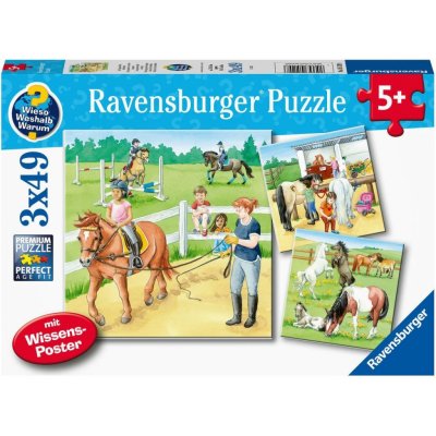 Ravensburger 051298 Koně 3x49 dílků – Zbozi.Blesk.cz