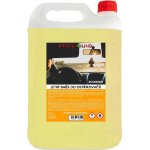 Ecoliquid Letní kapalina do ostřikovačů ECONOMY 5 l | Zboží Auto