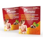 Herbalex Hřejivá náplast s kaštanem 1 ks – Hledejceny.cz