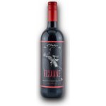 Il Palagio Roxanne Rosso Toscana IGT 2023 13% 0,75 l (holá láhev) – Hledejceny.cz