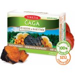 Čaga Reishi Rakytník antioxidant 60 kapslí – Hledejceny.cz