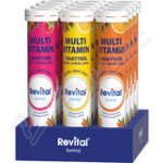 VITAR Revital Multi s rakytníkem box eff. 20x12 tablet – Hledejceny.cz