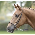 BUSSE Ohlávka předváděcí Rund černá /stainless steel – Zboží Mobilmania