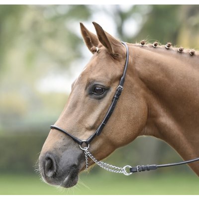 BUSSE Ohlávka předváděcí Rund černá /stainless steel – Zboží Mobilmania