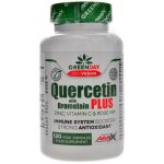 Amix GreenDay Quercetin with bromelain plus 120 vege kapslí – Hledejceny.cz