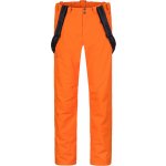 Hannah Slater Fd pánské lyžařské kalhoty 10036014HHX puffins bill – Hledejceny.cz